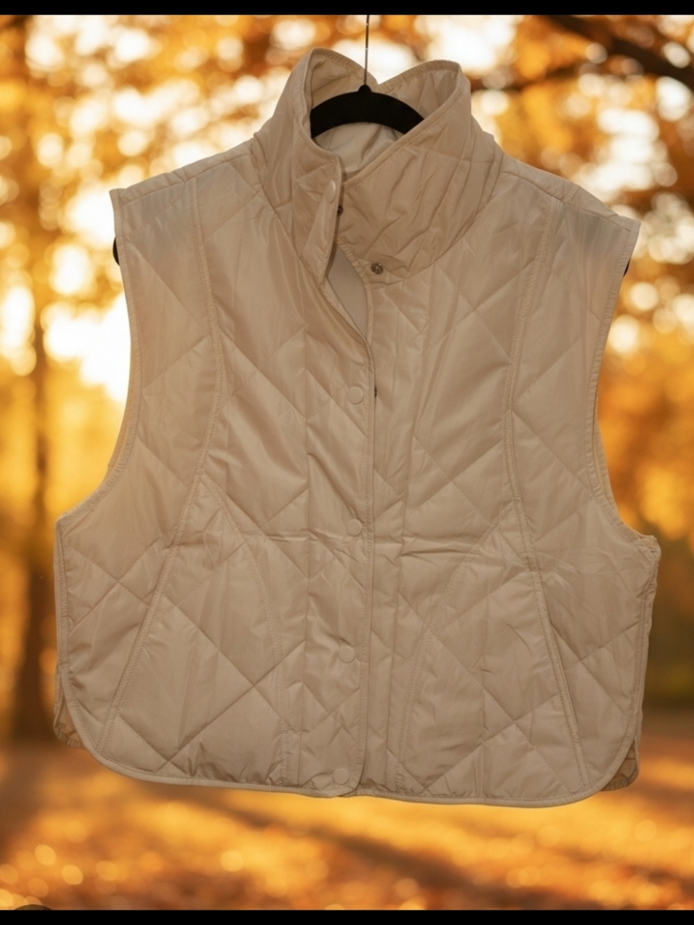 Source Unknown Cream Quilted Vest